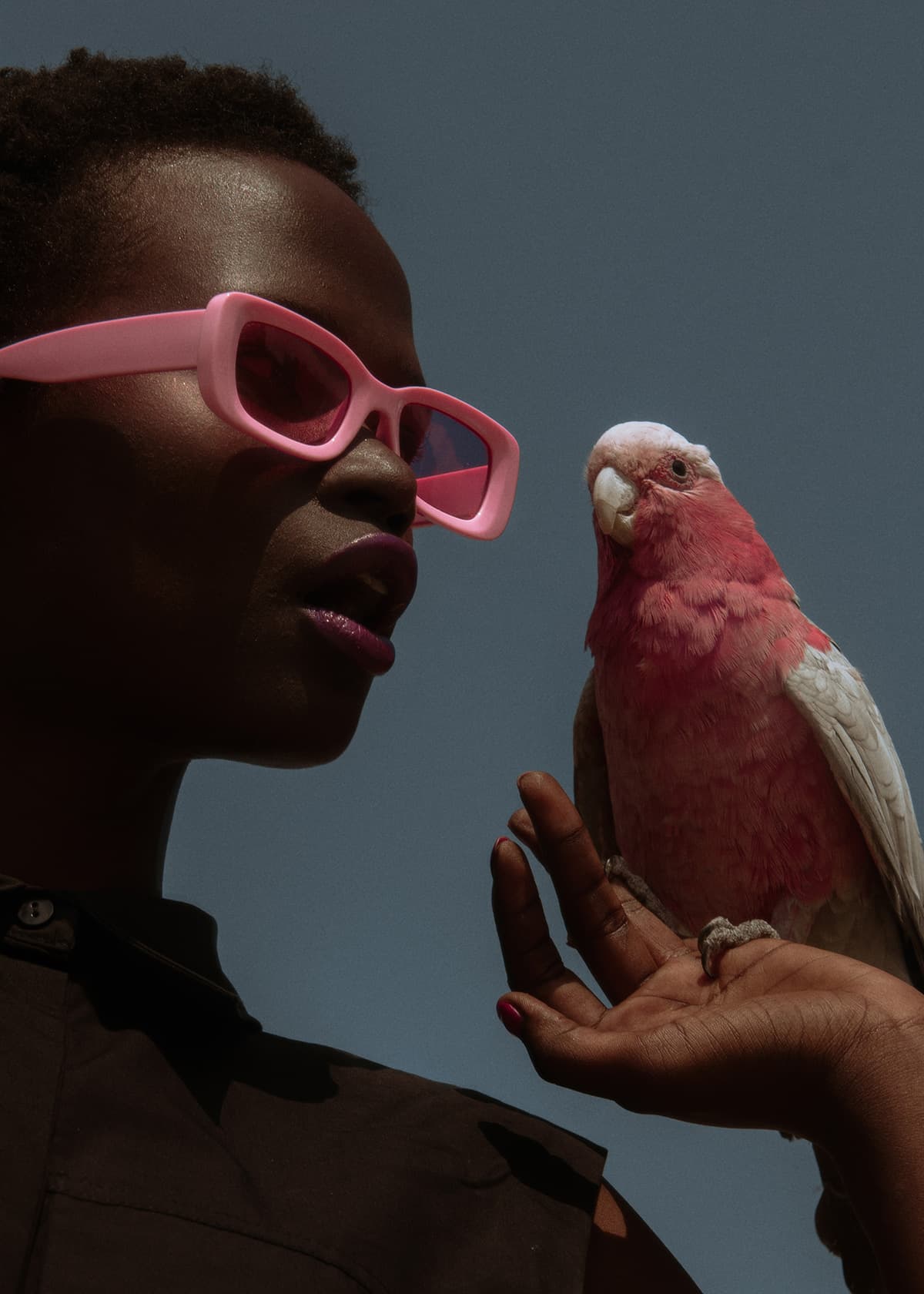 Lotte Schriek